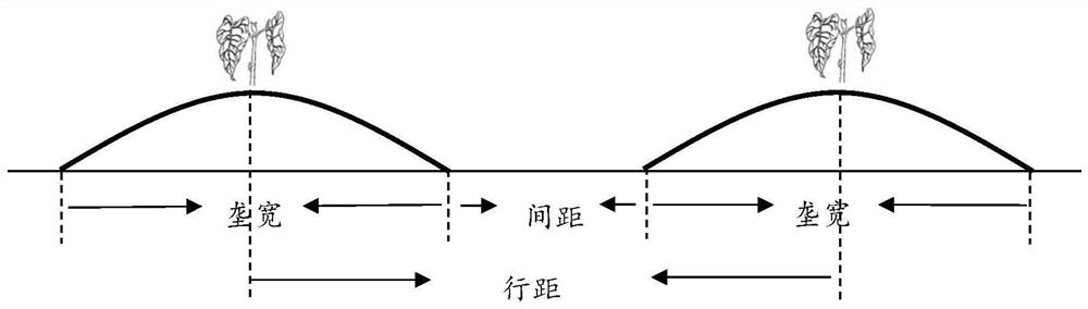 A rain-collecting planting method for flue-cured tobacco ridge film furrow planting