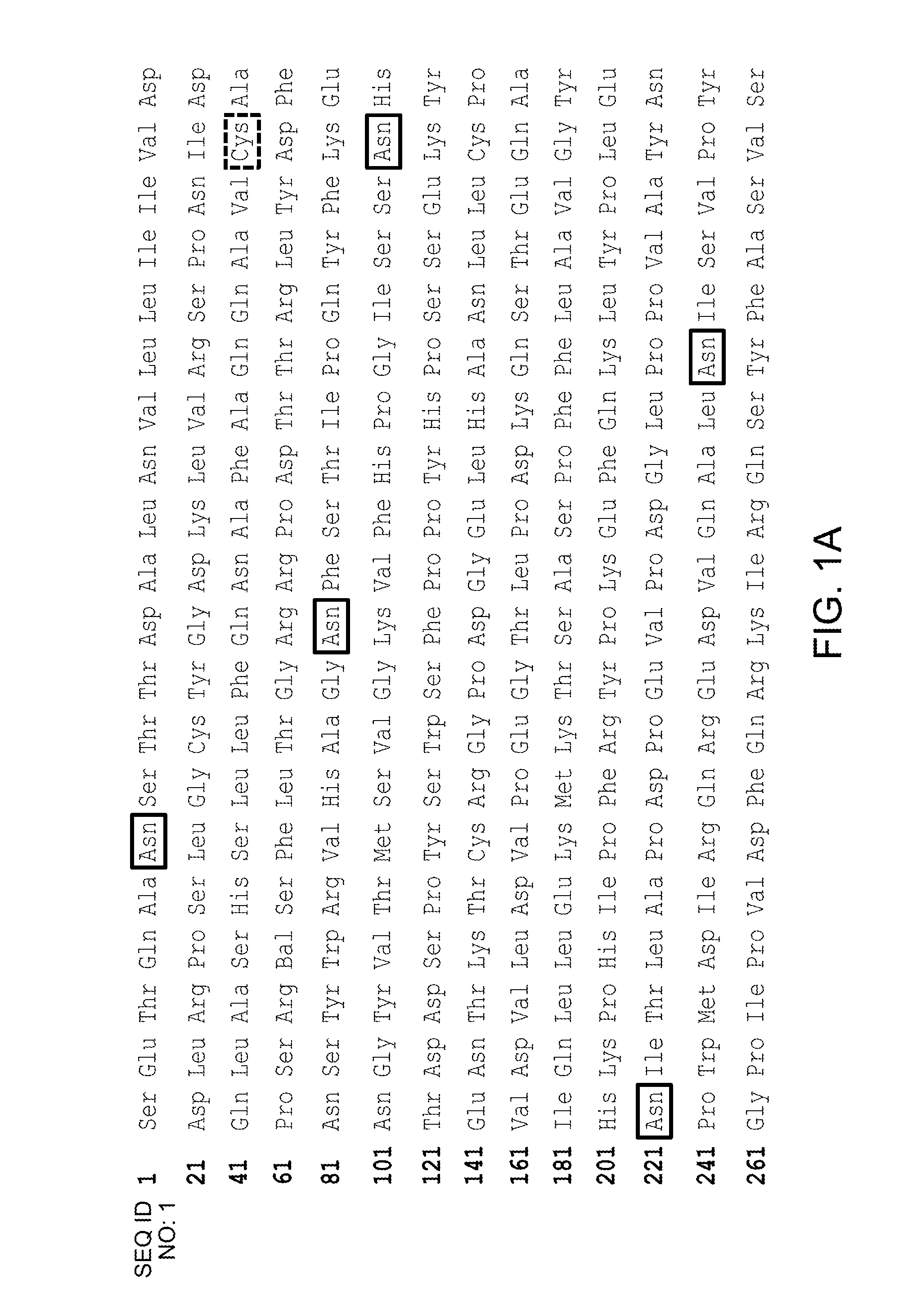 Cells for producing recombinant iduronate-2-sulfatase