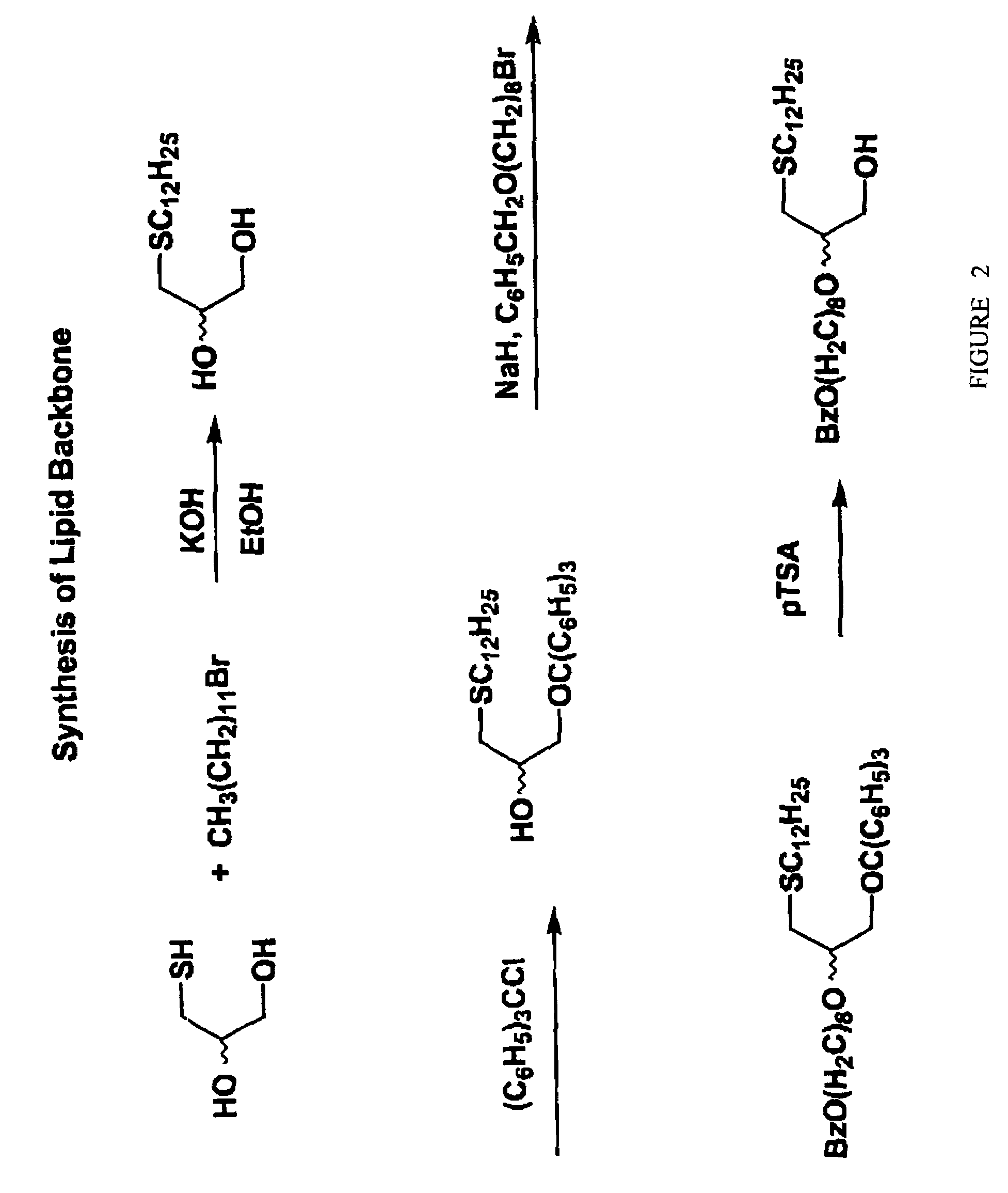 Compositions and methods for targeting cancer cells