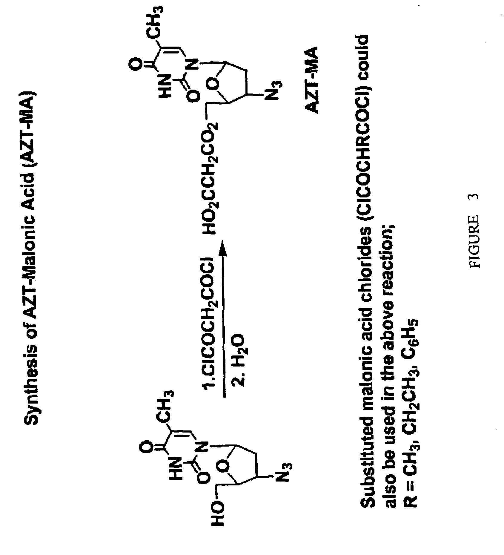 Compositions and methods for targeting cancer cells