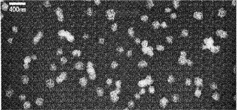 Bifendate nano crystal preparation and preparation method thereof