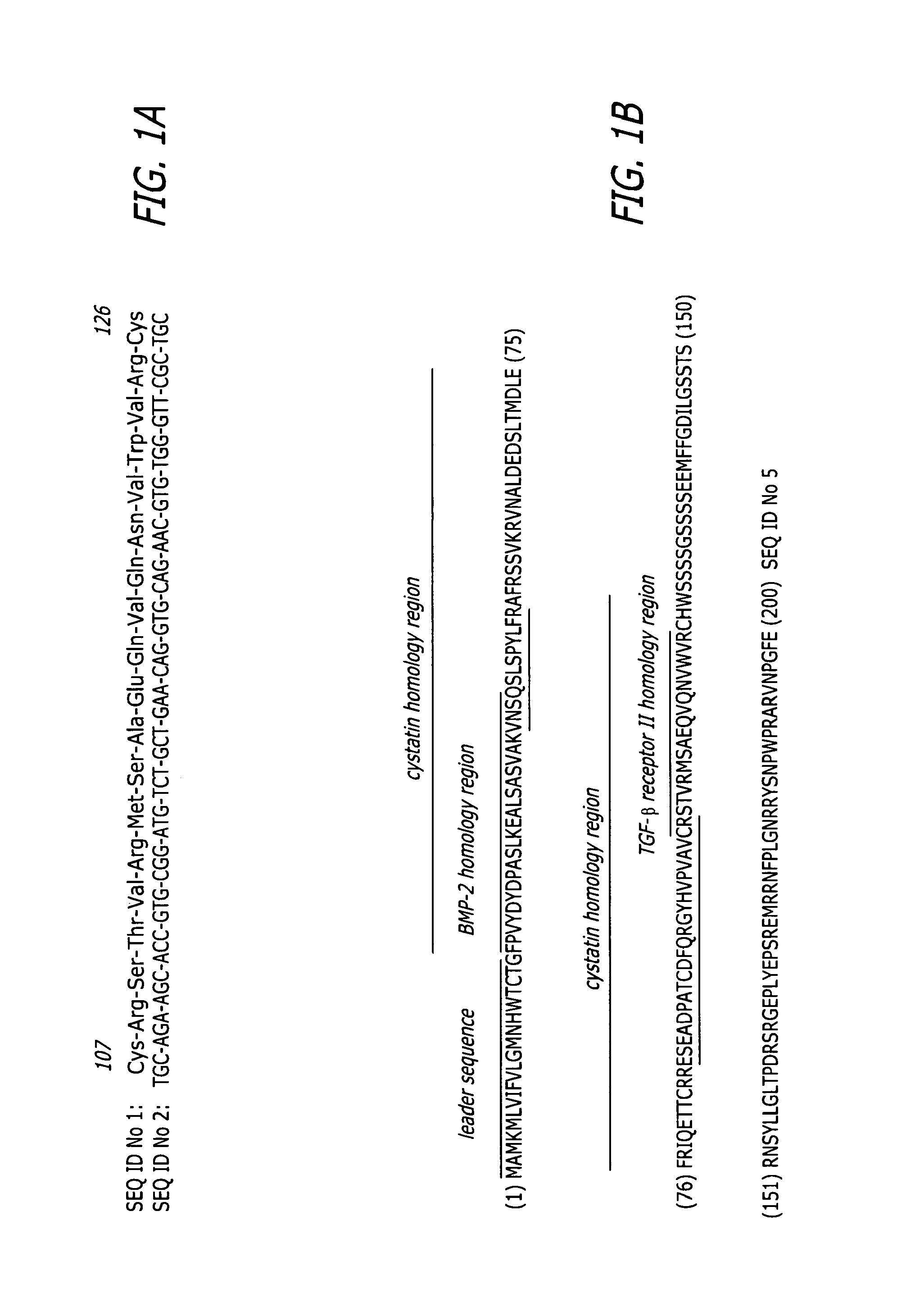 Enhancement of bone morphogenic protein (BMP) retention with BMP binding peptide (BBP)