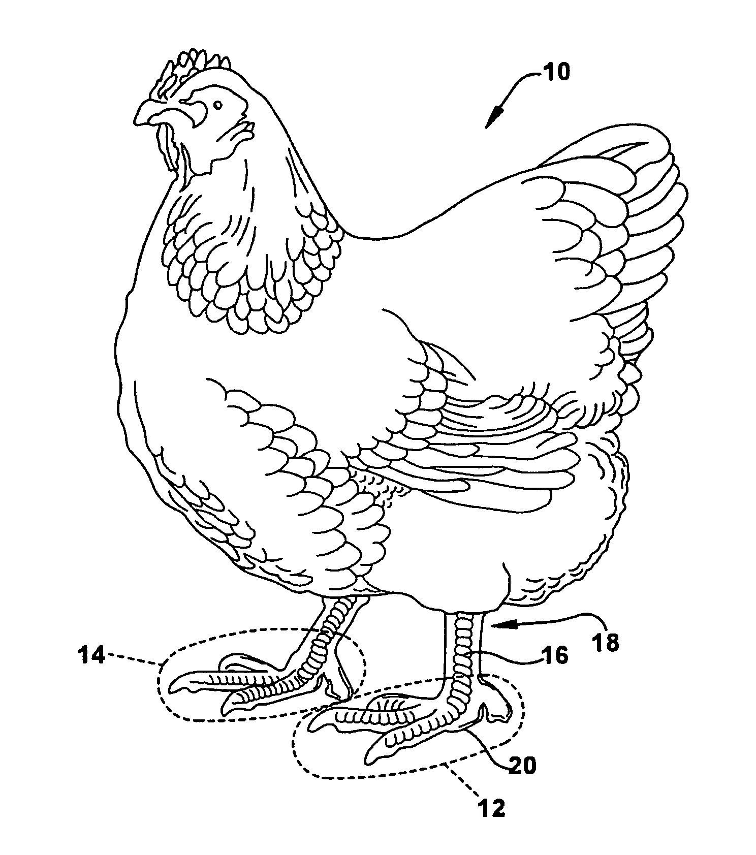 Method of trimming portion of chicken paw metatarsal pad using power operated rotary knife