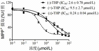 Application of tetrahydropalmatine in the preparation of anti-cisplatin toxicity drugs