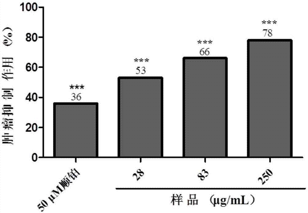 Shell-broken ganoderma spore powder and particle combination and preparation method thereof