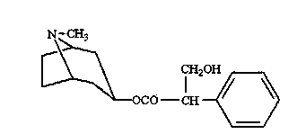 Preparation method of hyoscyamine in Flos Daturae Innoxiae