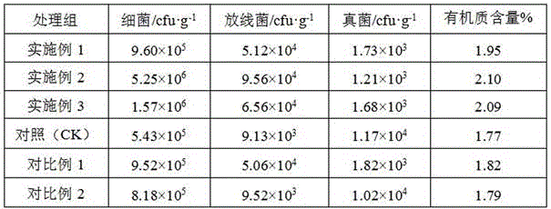 Novel anti-flowering-cabbage-downy-mildew biofertilizer and preparation method thereof