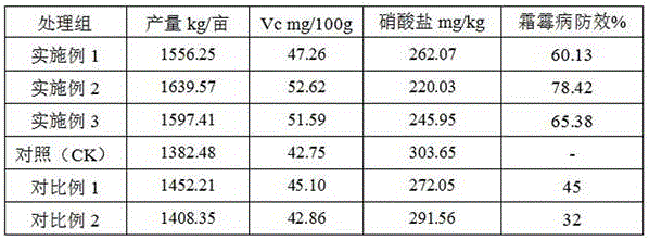 Novel anti-flowering-cabbage-downy-mildew biofertilizer and preparation method thereof