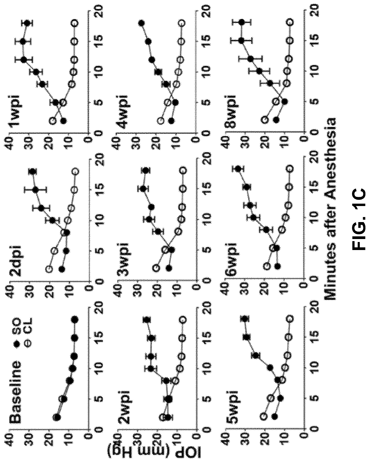 Silicone Oil-Induced Ocular Hypertension Glaucoma Model