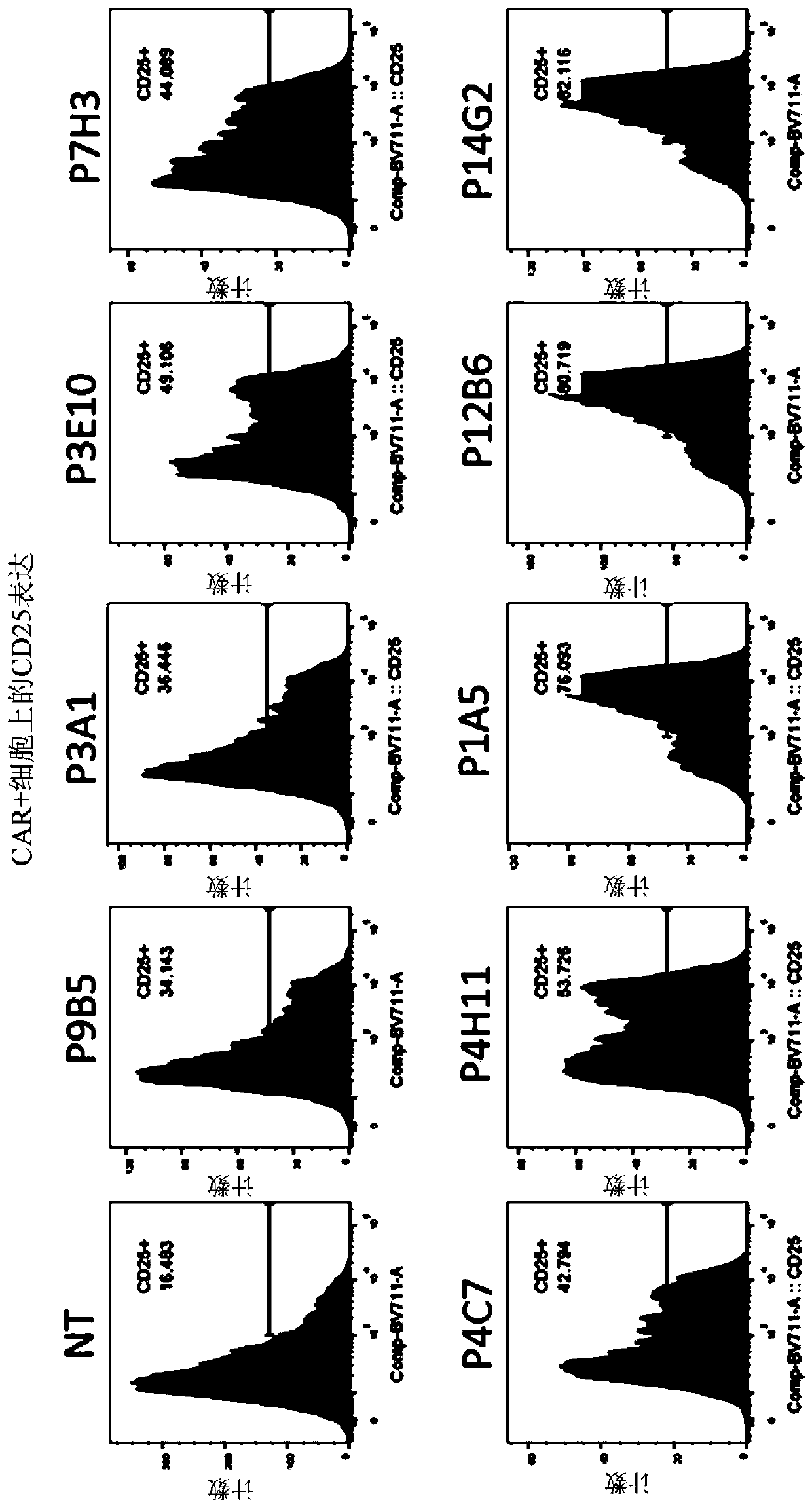 Chimeric antigen receptors targeting FLT3