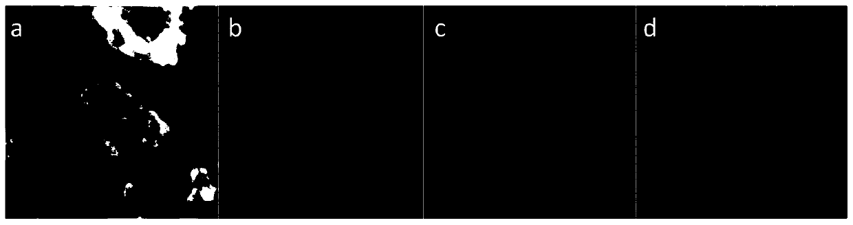 A kind of lithium-sulfur battery positive electrode material and its preparation method and lithium-sulfur battery