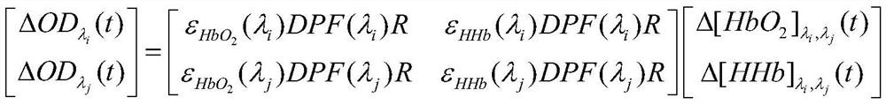 A Near Infrared Brain Function Signal Processing Method Based on Differential Path Factor Estimation