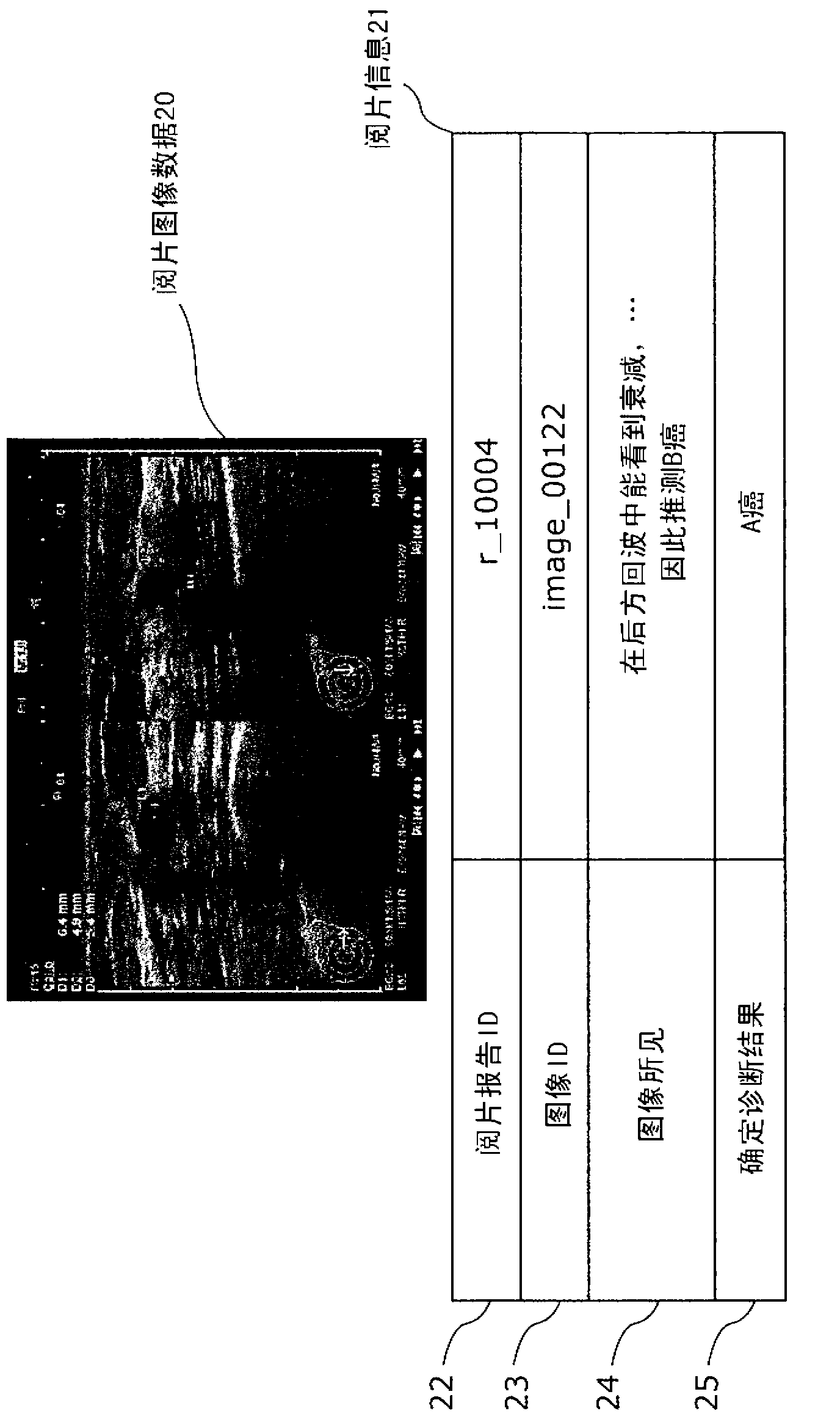 Disease case study search device and disease case study search method