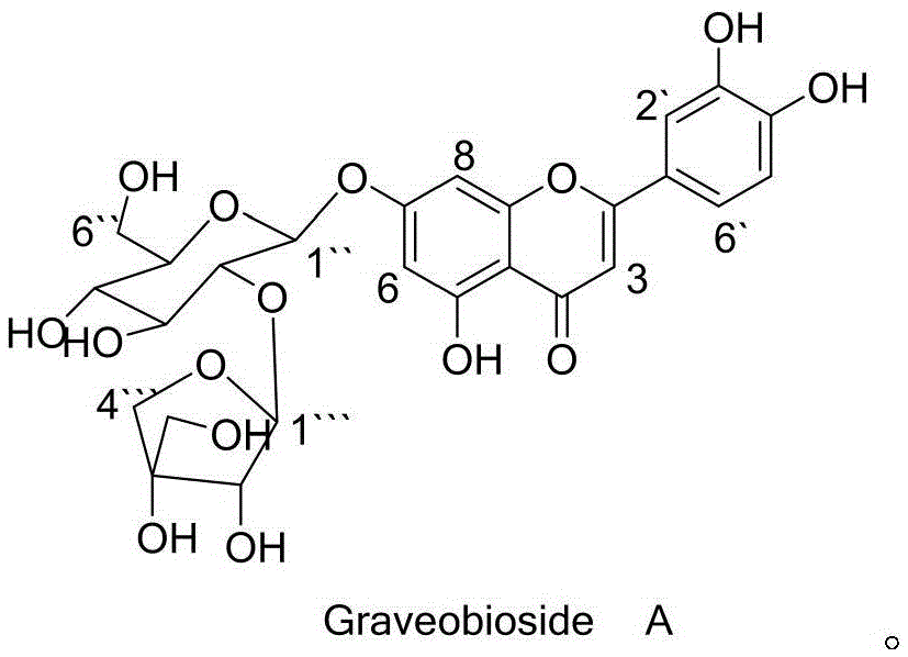 Application of Graveobioside A in preparation of drugs or healthcare food for preventing hyperuricemia and gout