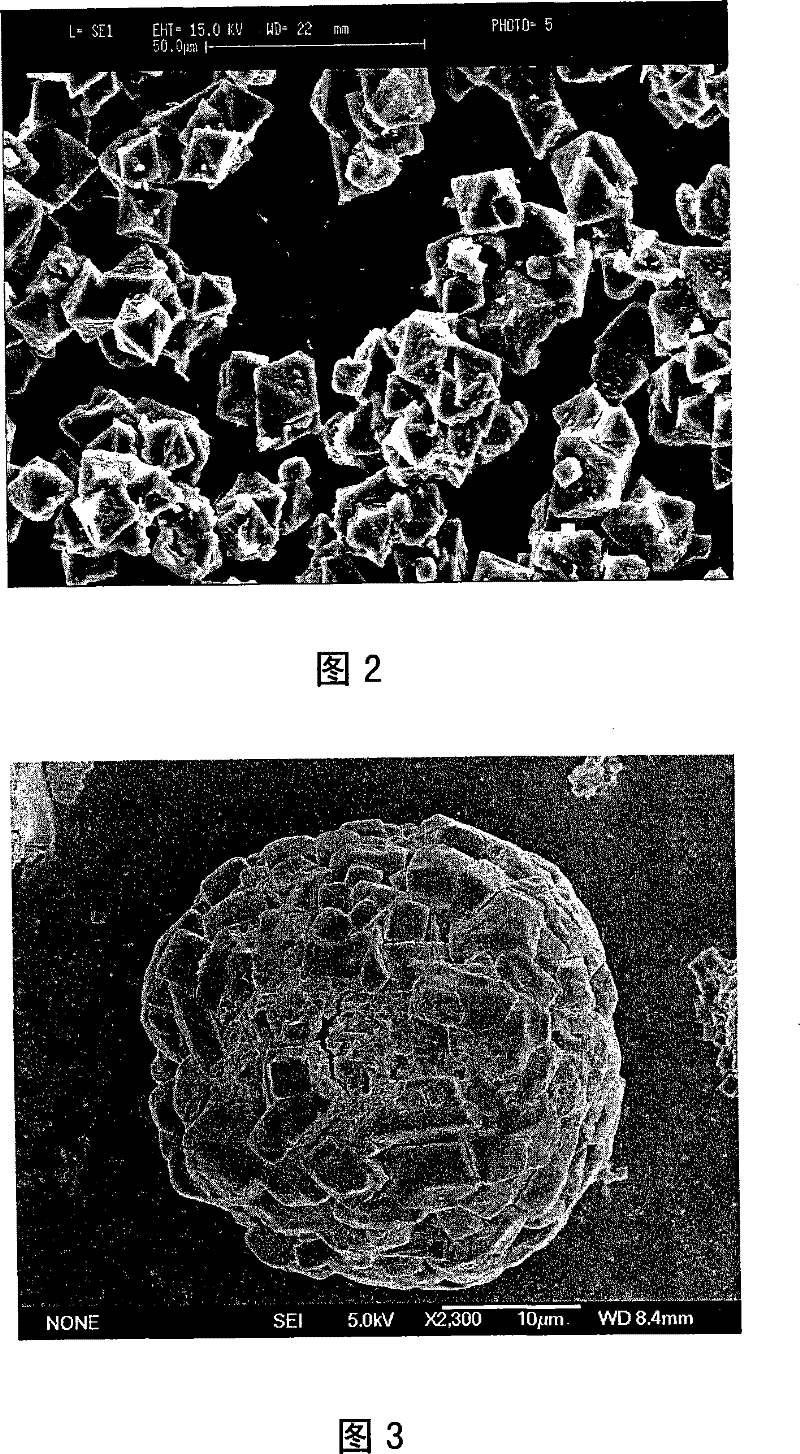 Method for preparing anhydrous magnesium chloride from bischofite