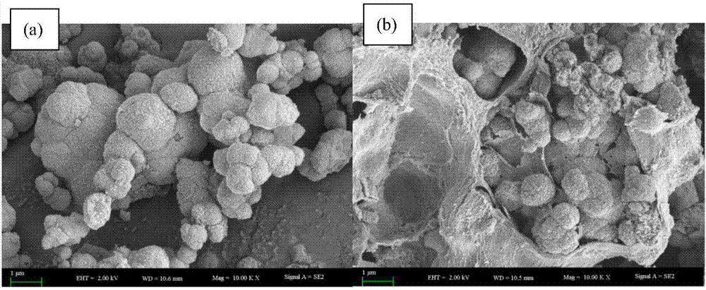 Preparation method of load type biological iron-manganese composite oxide
