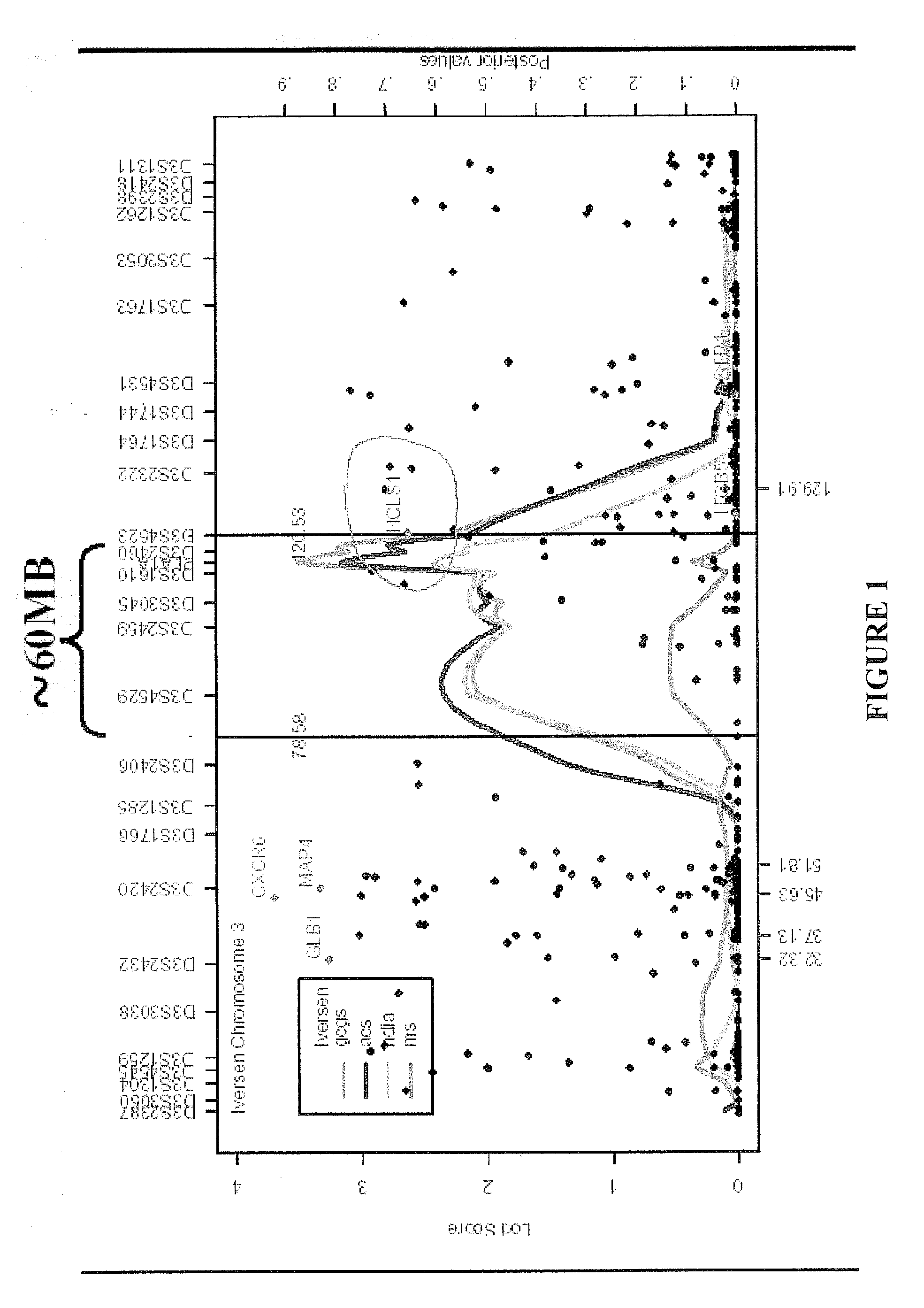 Methods and compositions for correlating genetic markers with cardiovascular disease