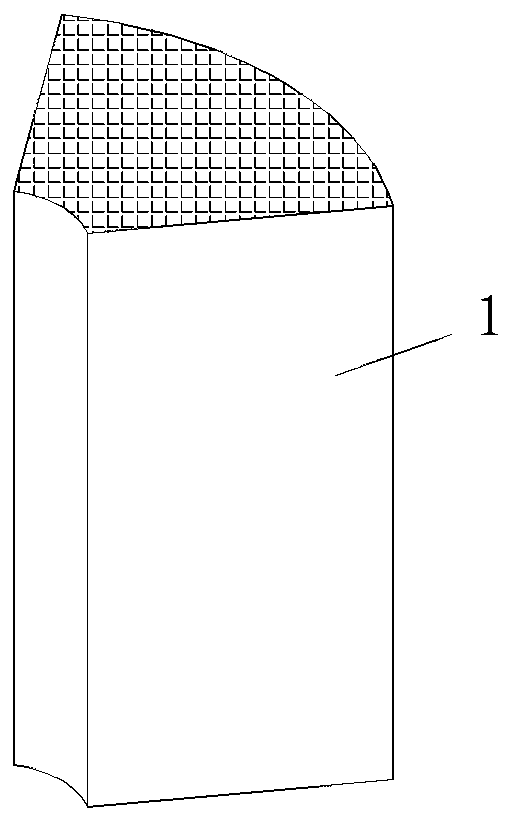 Processing method and product of customized antibacterial and antiviral photocatalyst filter element