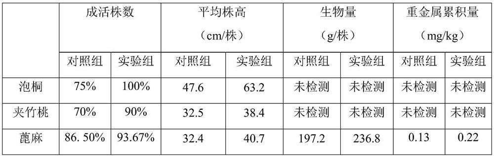 Compound functional organic bacterial fertilizer as well as preparation method and application thereof