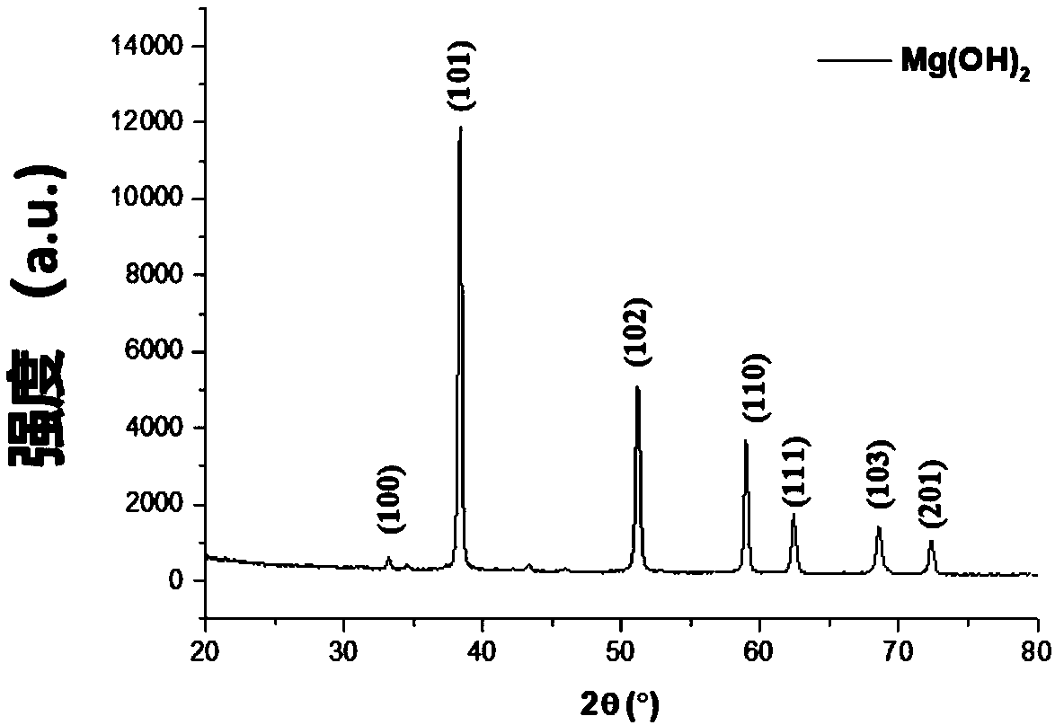 Method for preparing one-dimensional Mg(OH)2 through fast precipitation