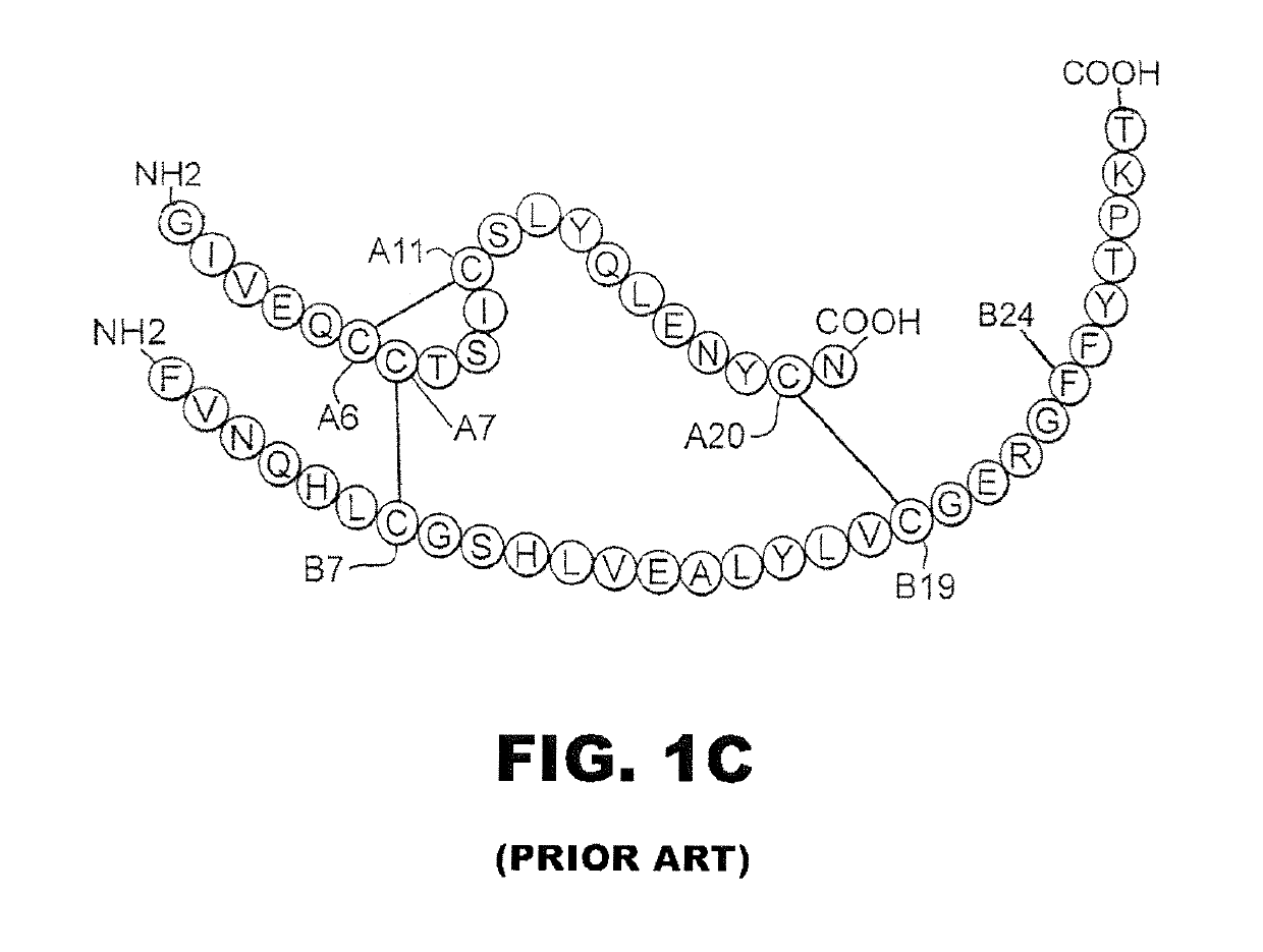 Insulin analogues with selective signaling properties and reduced mitogenicity