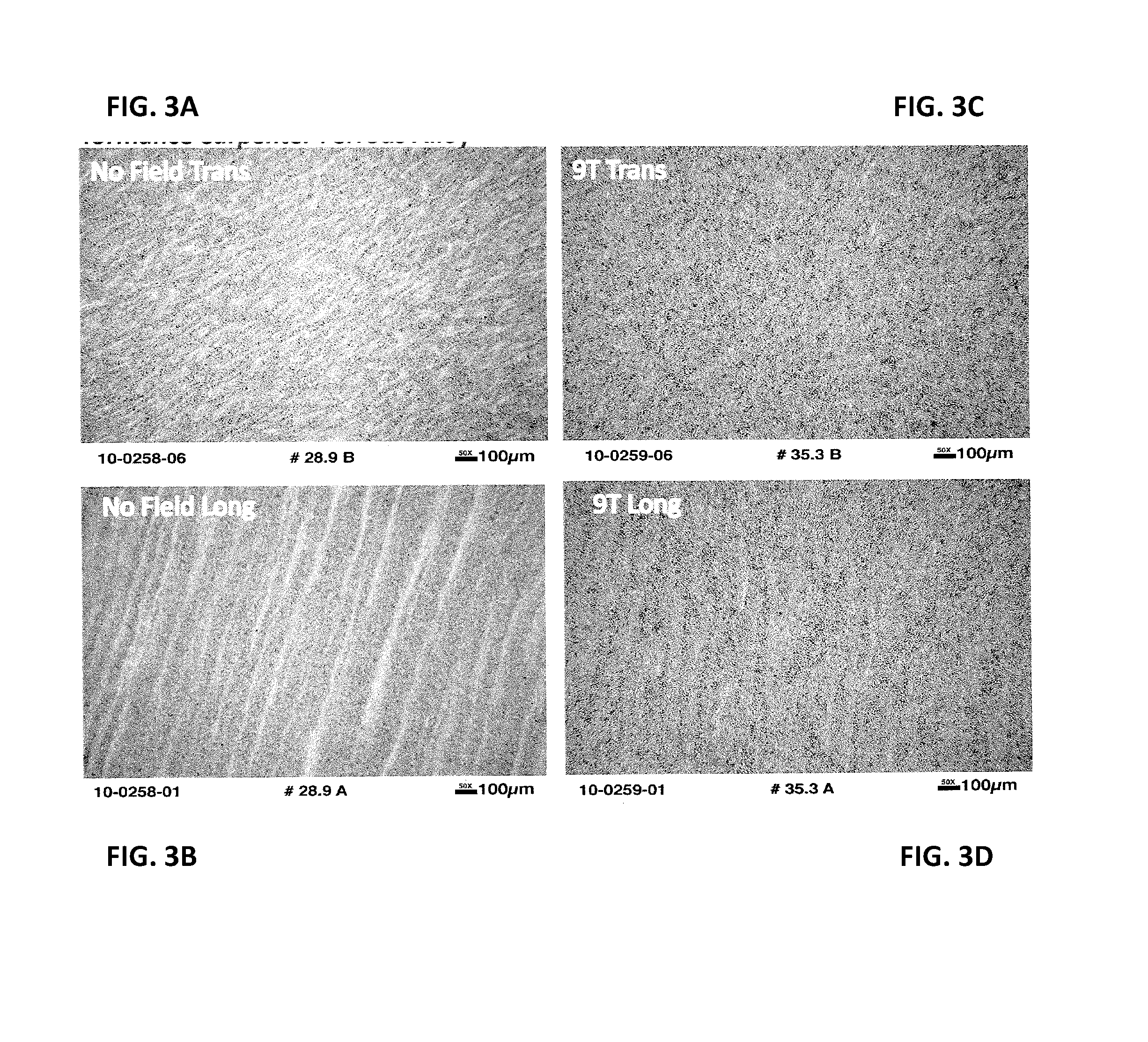 Method of magnetically processing an iron-carbon alloy