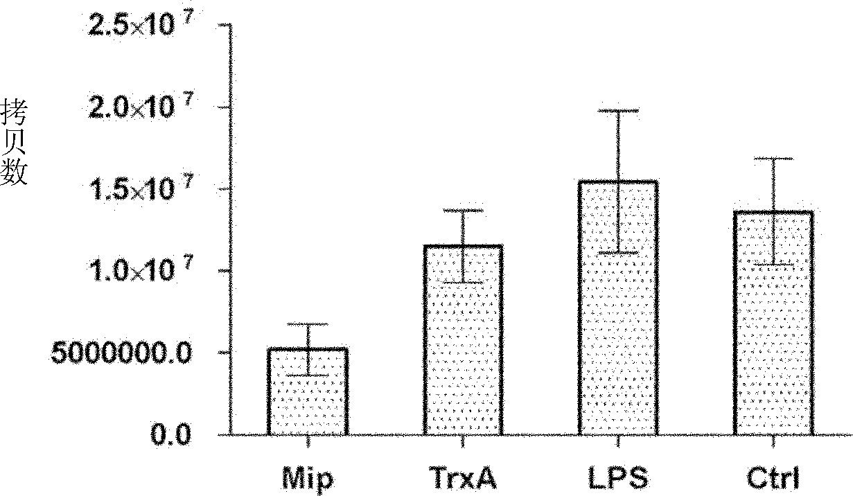 Application of protein Mip in immune protection of coxiella burnetii