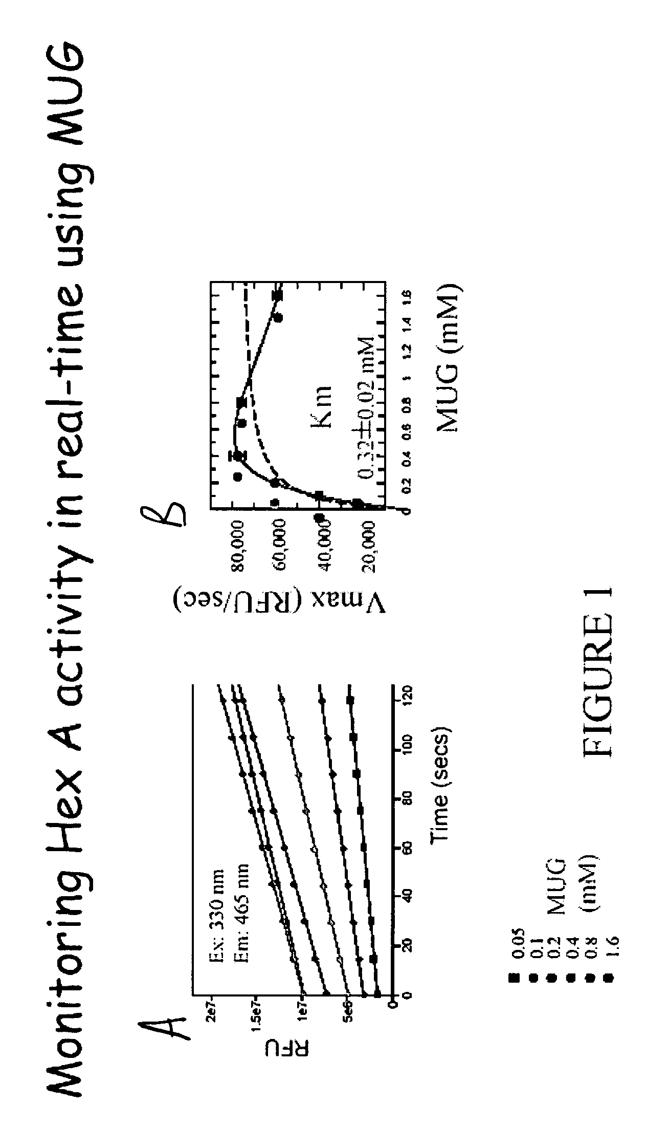 Real time methylumbelliferone-based assay