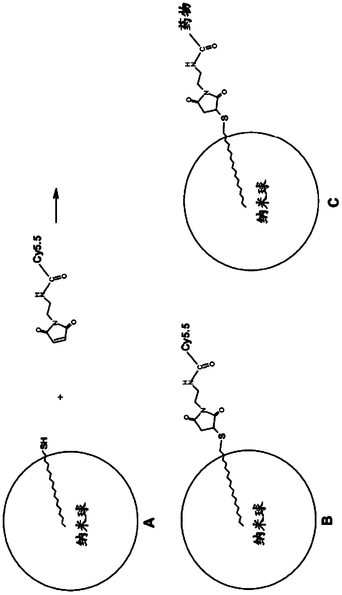 Antioxidant, neuroprotective and antineoplastic nanoparticles comprising a therapeutic agent on an amphiphilic spacer or an amphiphilic polymer