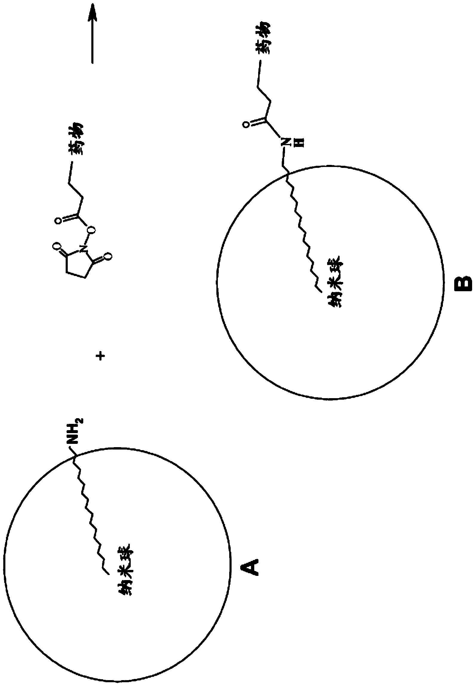 Antioxidant, neuroprotective and antineoplastic nanoparticles comprising a therapeutic agent on an amphiphilic spacer or an amphiphilic polymer