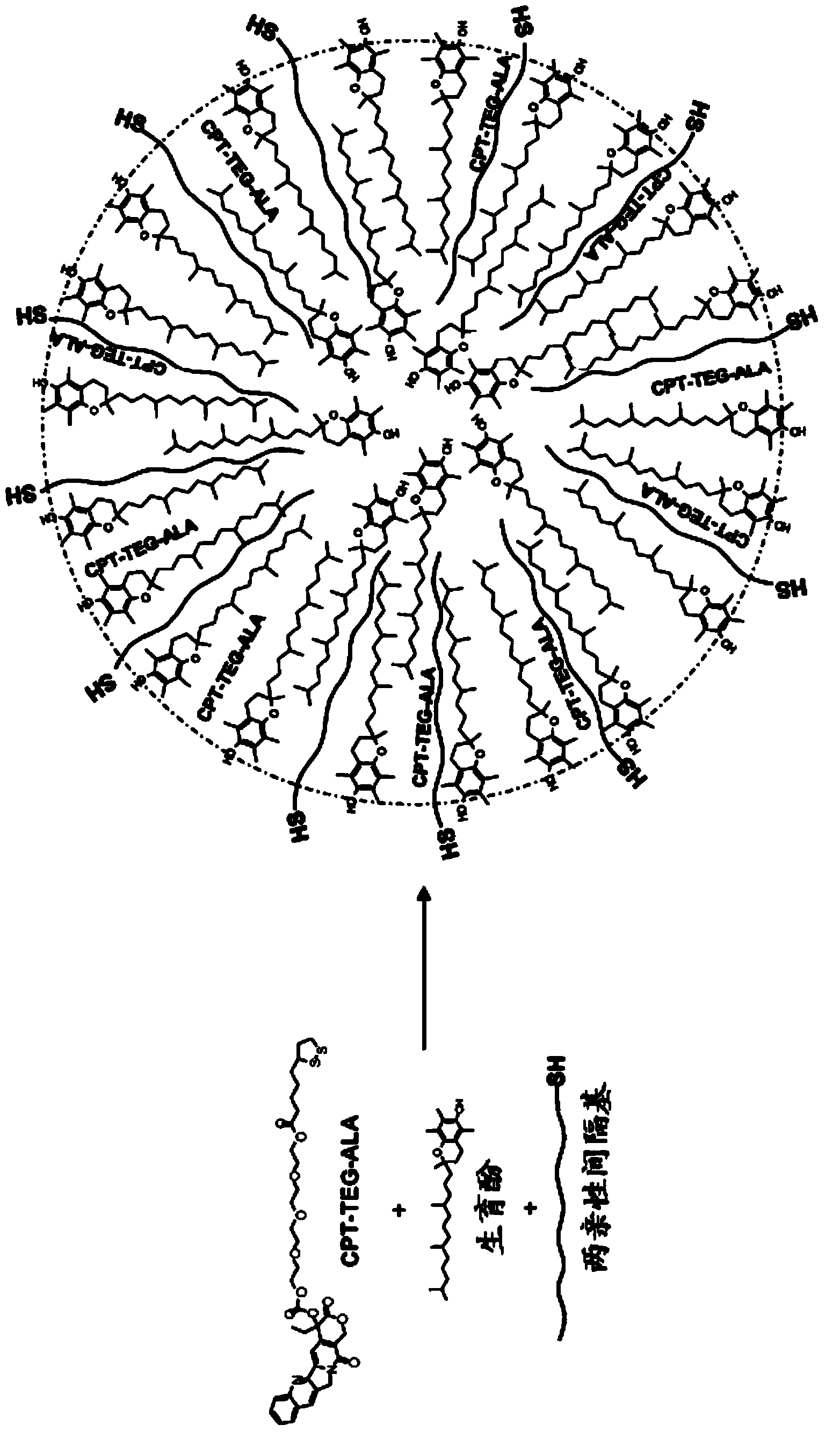 Antioxidant, neuroprotective and antineoplastic nanoparticles comprising a therapeutic agent on an amphiphilic spacer or an amphiphilic polymer