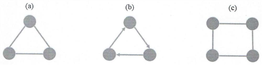 Biological network clustering method and system based on high-order structure