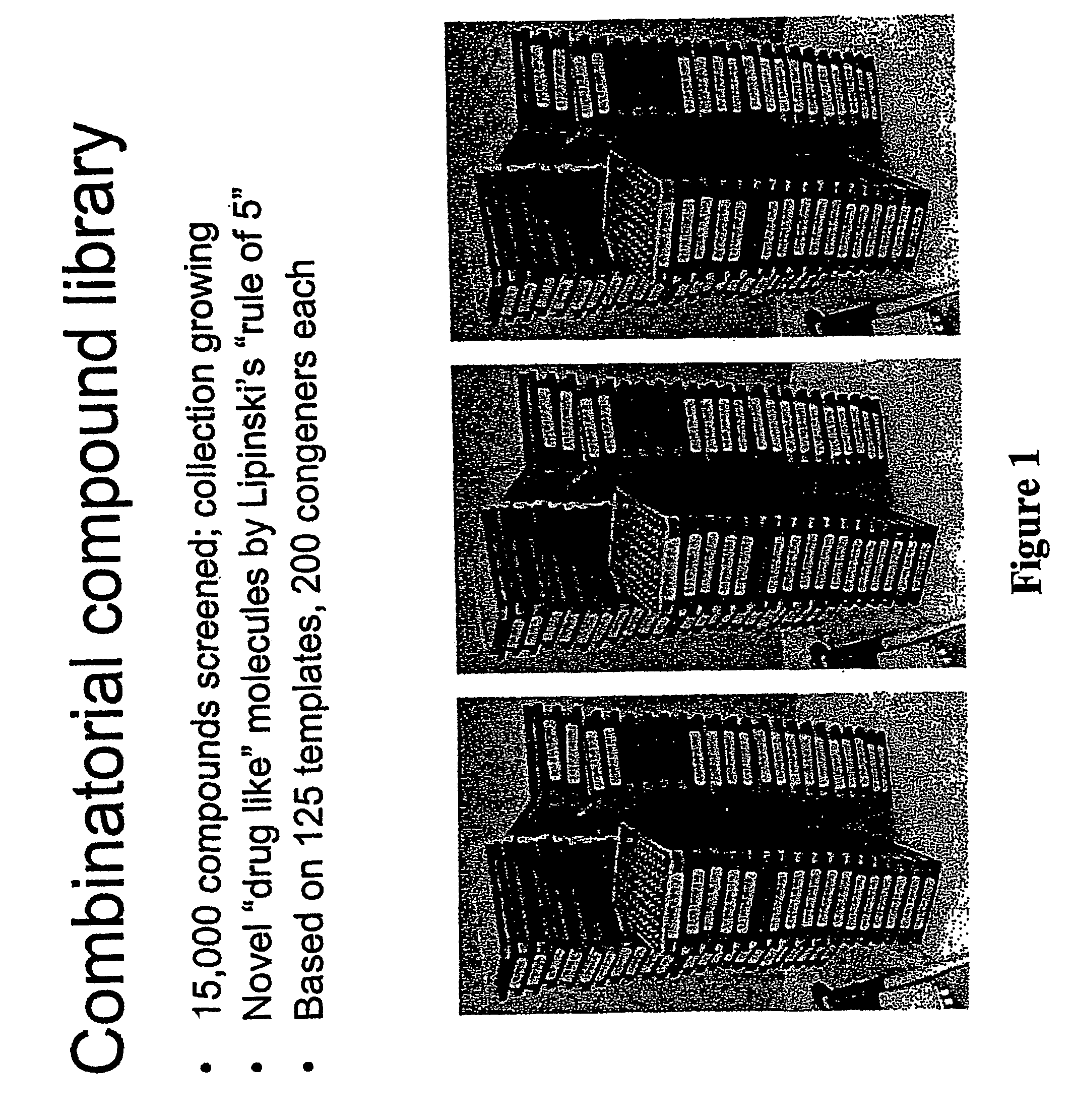 Treating an inflammatory disorder or inhibiting respiratory burst in adherent neutrophils with chemical inhibitors of neutrophil activation