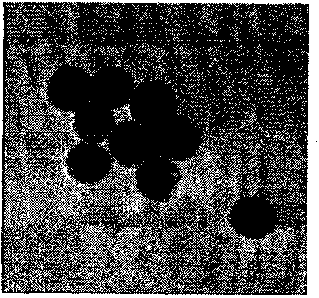 Process for production of surface-coated inorganic particles