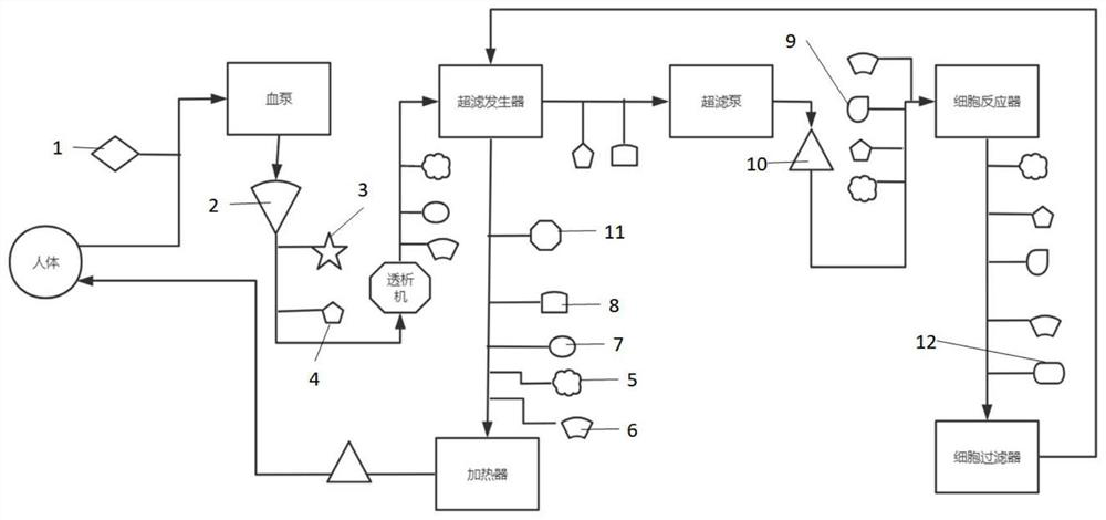 In-vitro liver support system