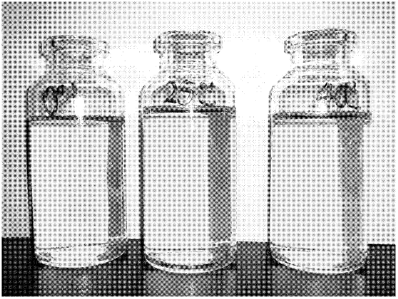 Zinc chelate-containing compound vitamin oral nano-emulsion and preparation method for same
