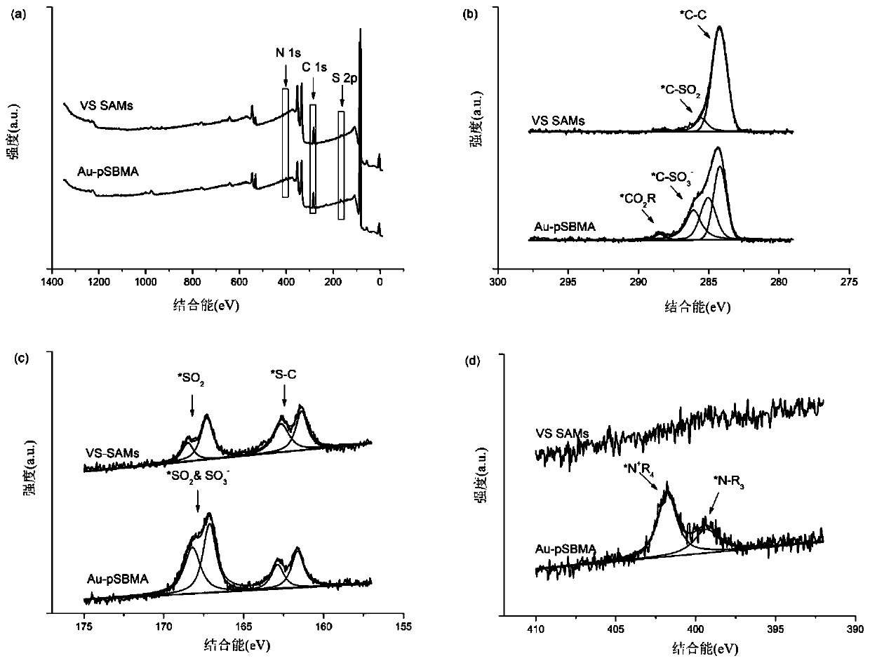 Vinyl sulphone surface initiating aqueous phase anionic polymerization method