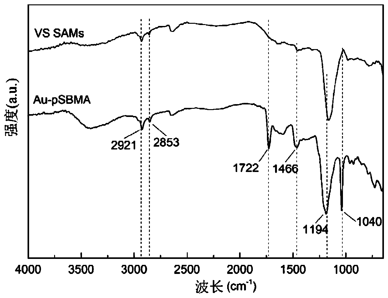 Vinyl sulphone surface initiating aqueous phase anionic polymerization method