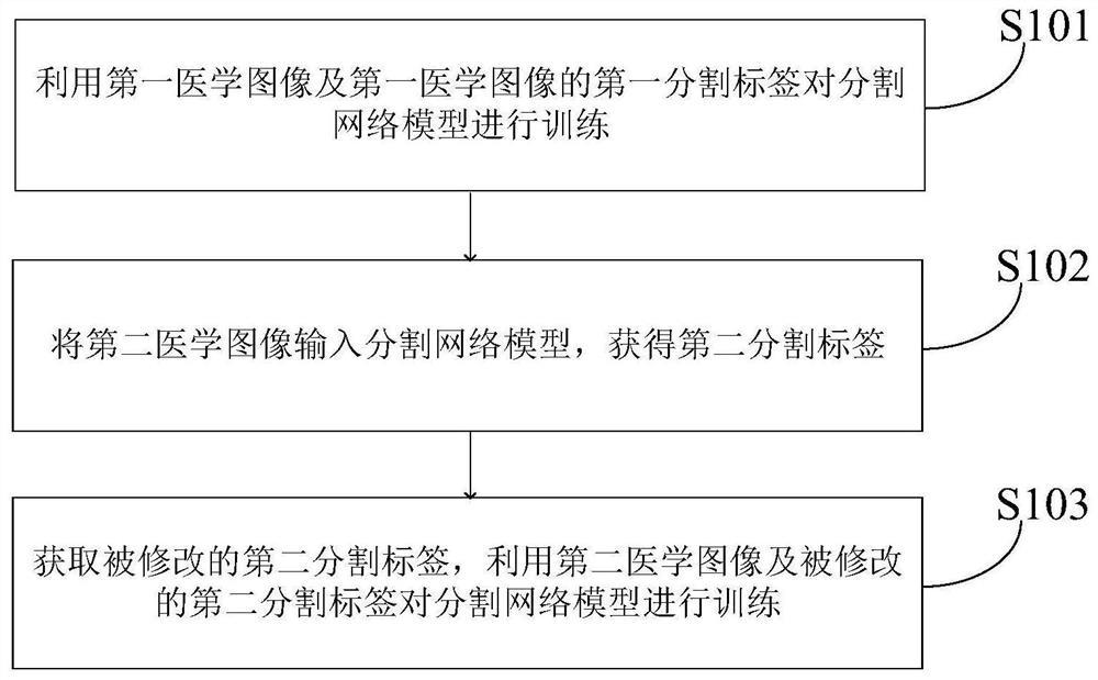 Medical image segmentation network model training method, segmentation method and related equipment