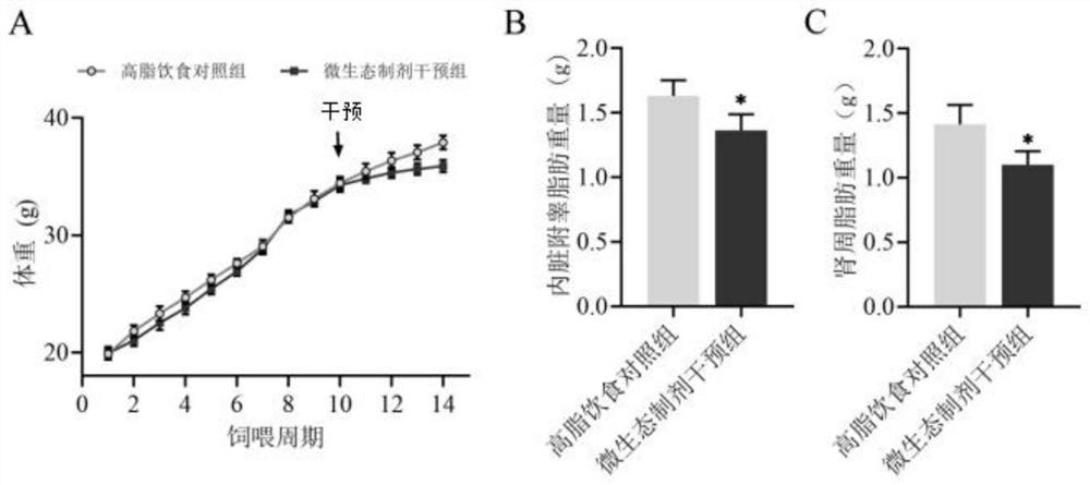 Micro-ecological preparation containing ginseng extract and probiotics and production method and application of micro-ecological preparation containing ginseng extract and probiotics
