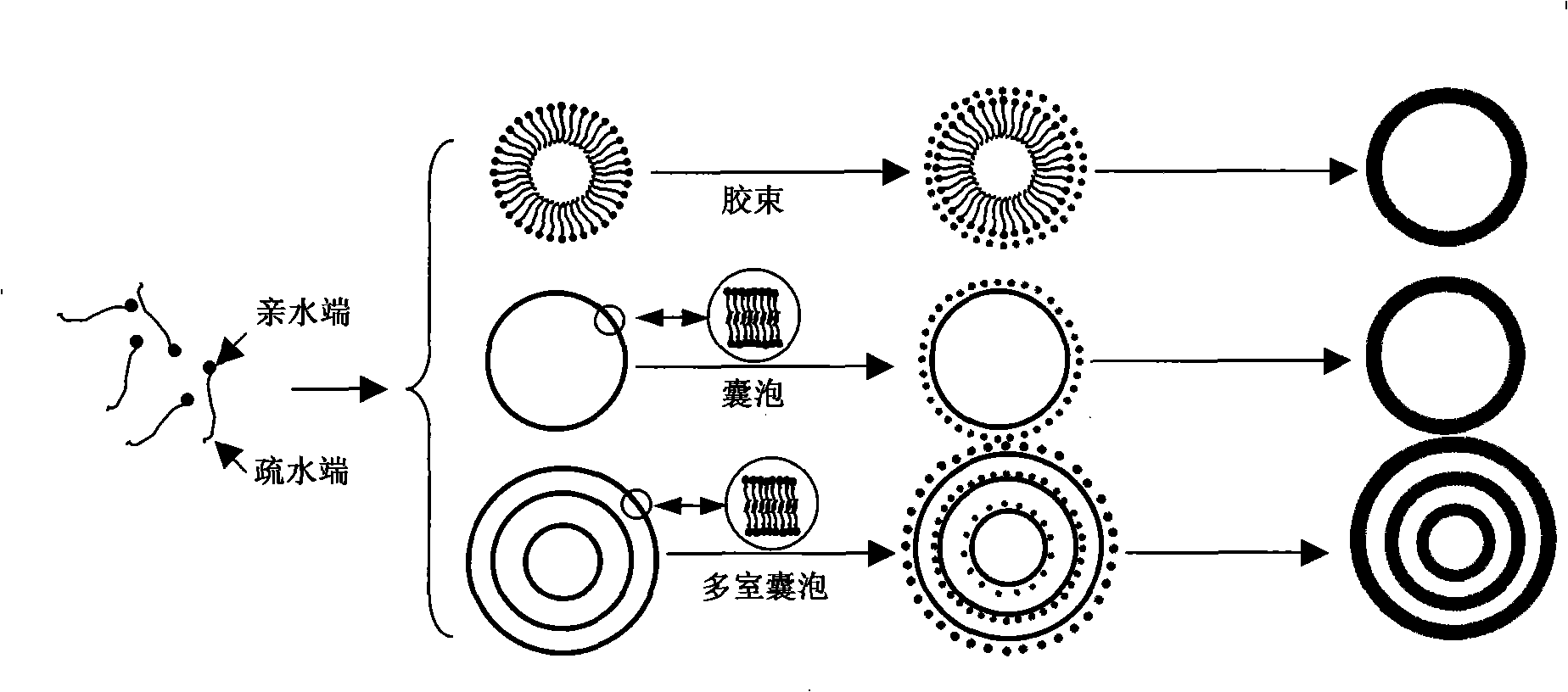 Method for producing multi-layer hollow pellet or stephanoporate pellet with multi-chamber vesicle mould plate method