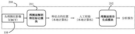 Method and system for analysis of cranial profile image based on neural network and random forest