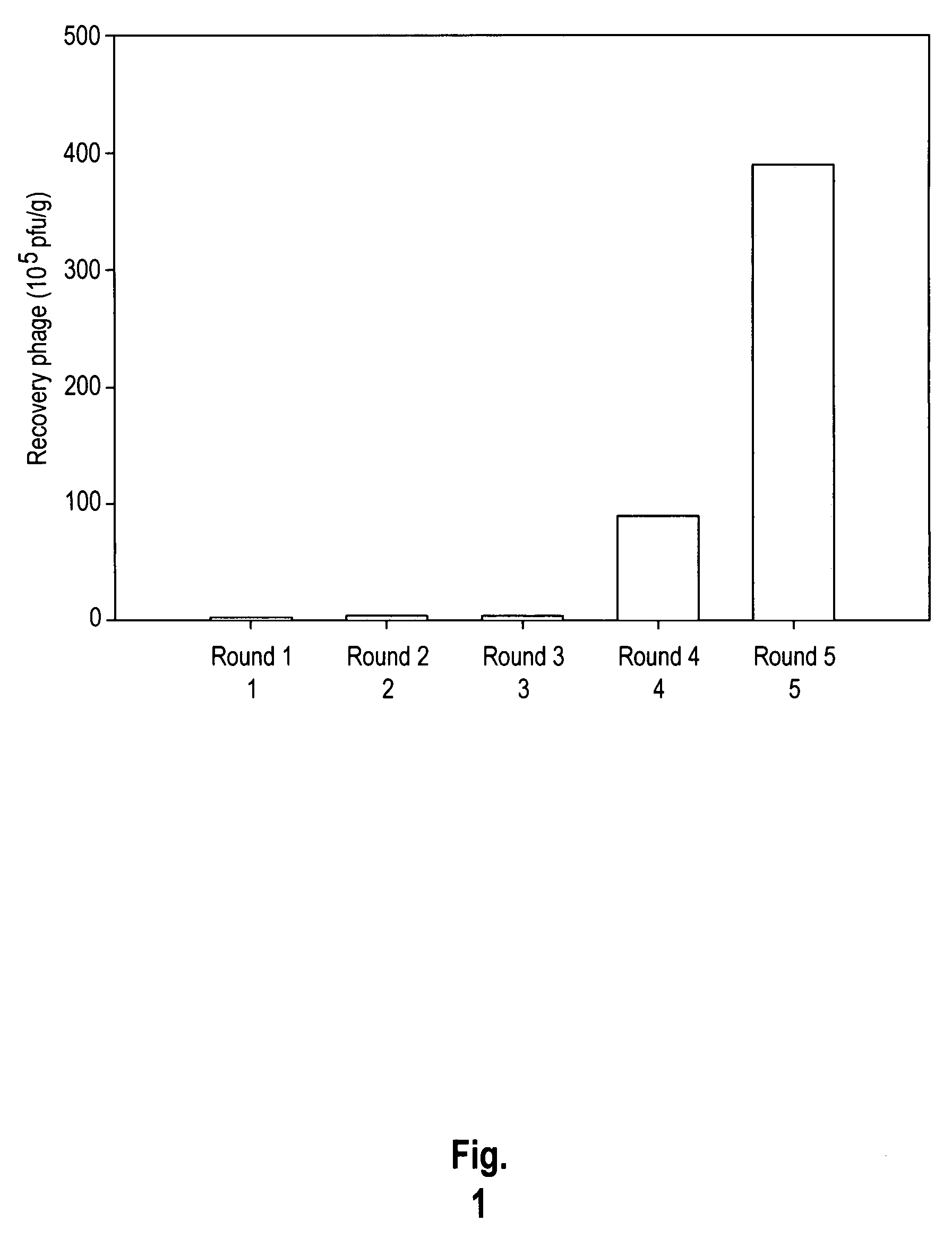 Peptides that target to tumor blood vessels of lung cancer and applications thereof