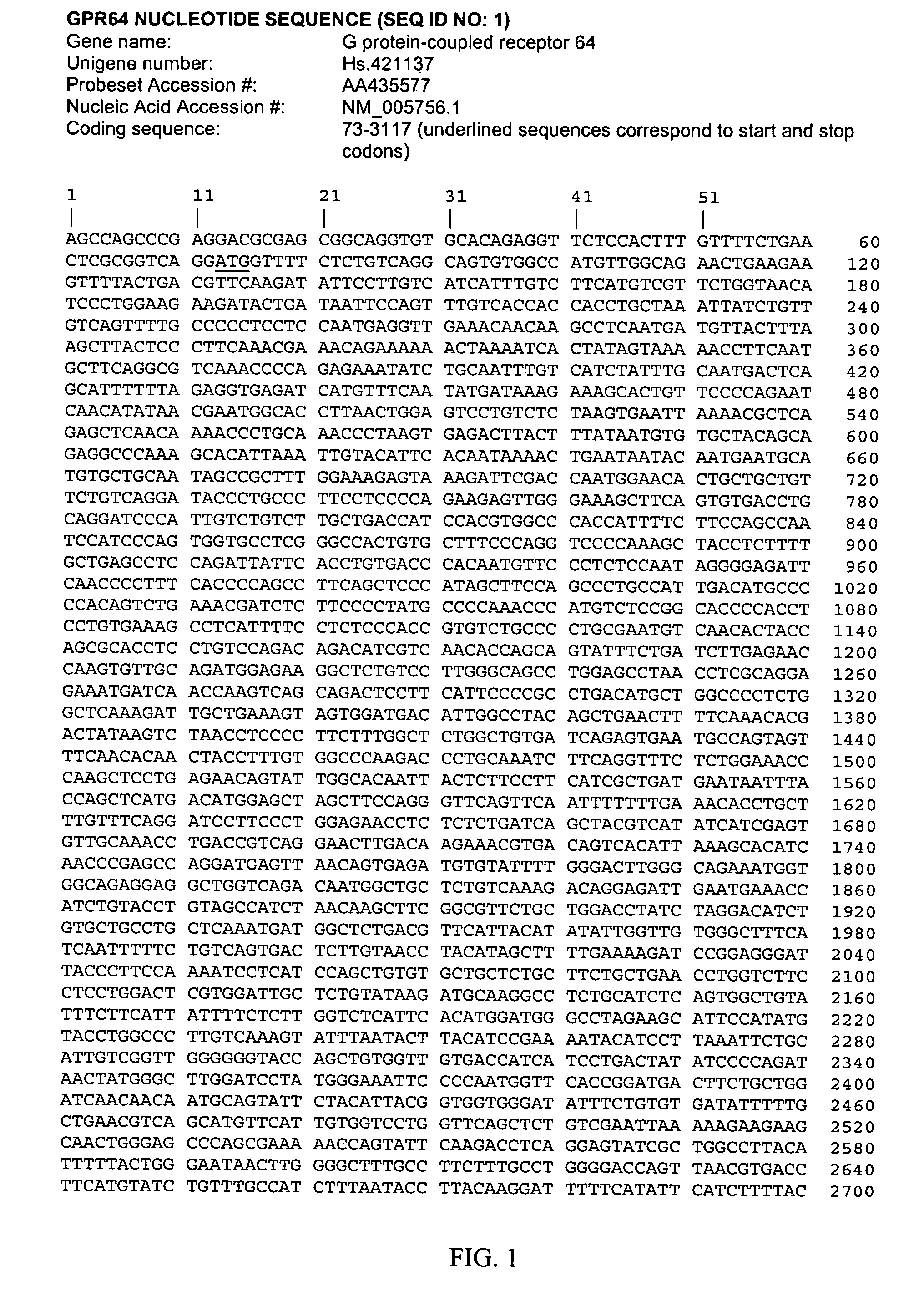 Antibodies against GPR64 and uses thereof