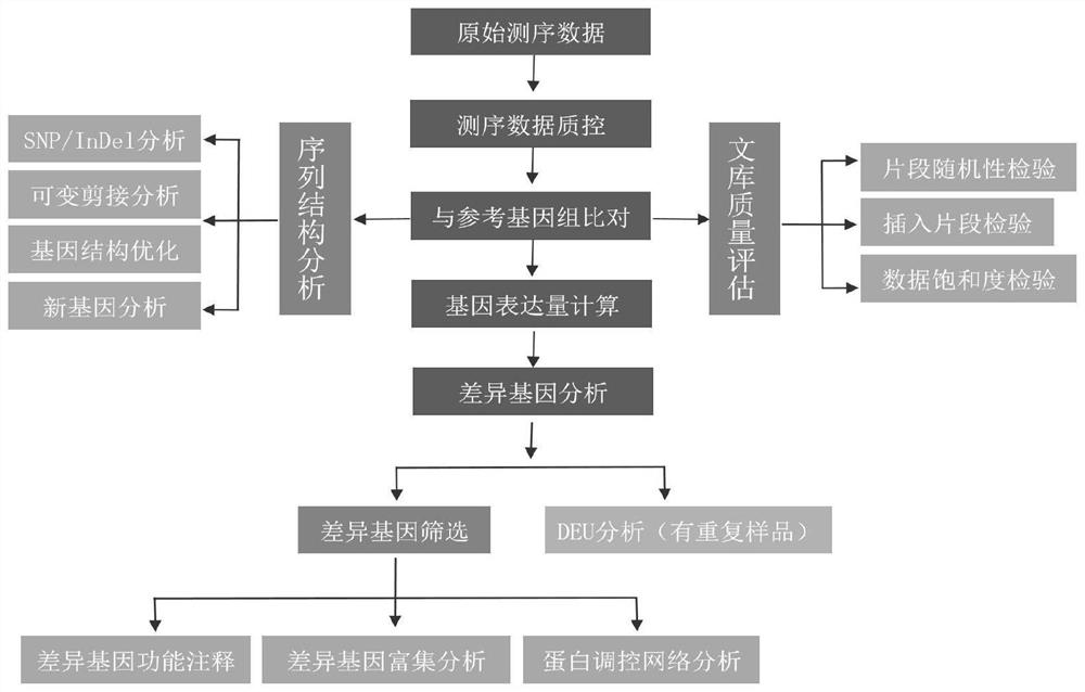 Method for exploring key regulatory factors for regulating plant development and application of key regulatory factors