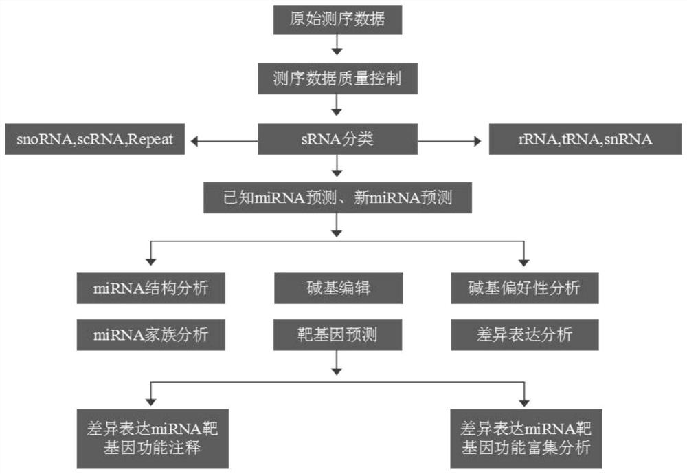 Method for exploring key regulatory factors for regulating plant development and application of key regulatory factors