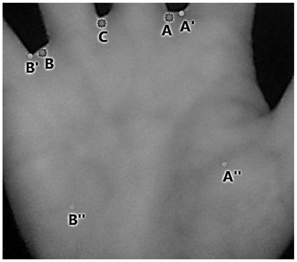 Image enhancement processing method and palm vein recognition method for palm vein images