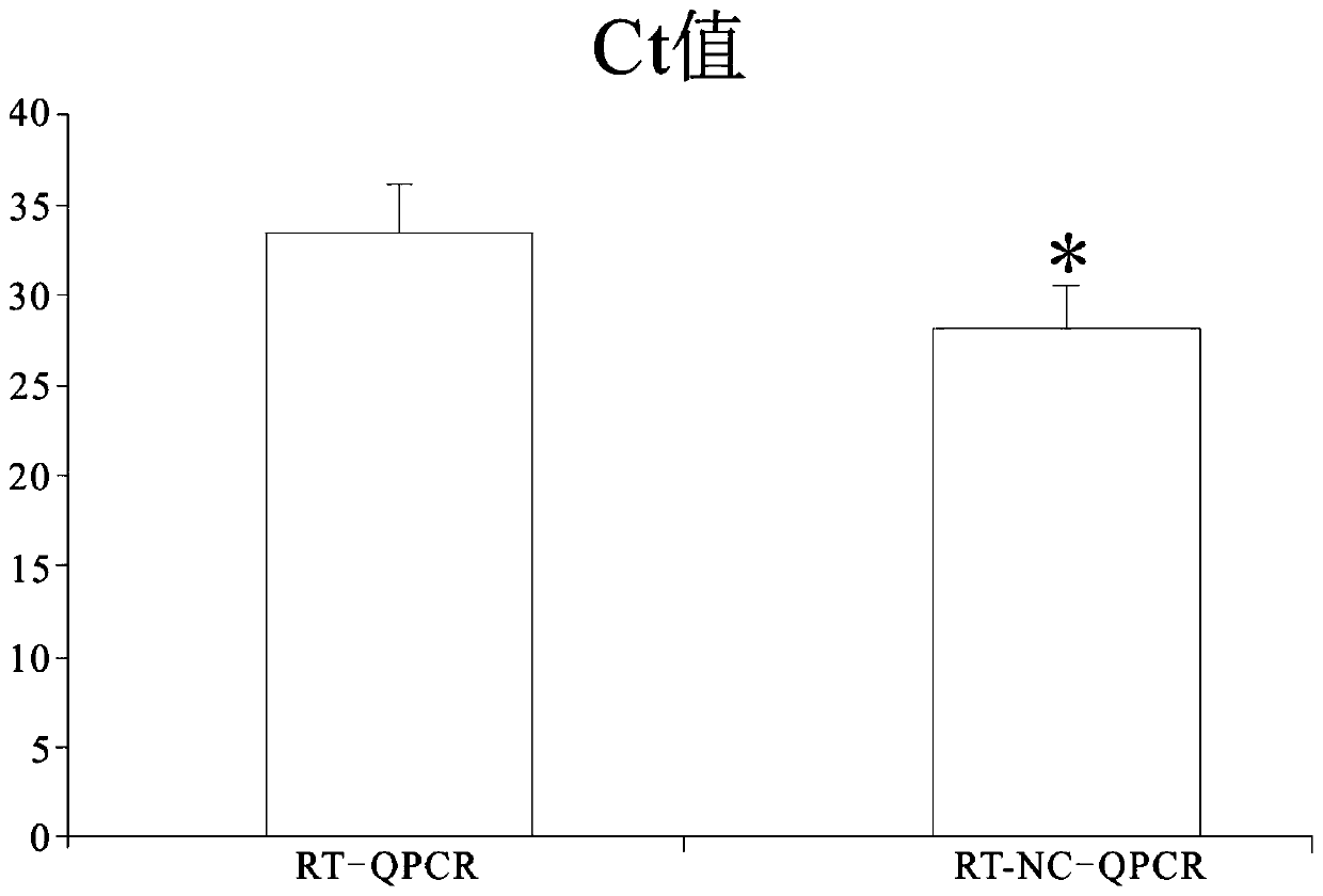 In-vitro amplification detection method for novel coronavirus nucleic acid and test kit thereof