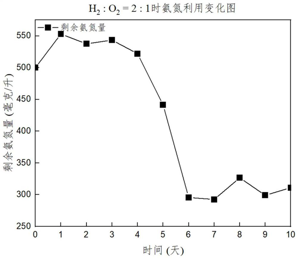 Hydroxidation bacterium flora with specific function as well as screening method and application thereof