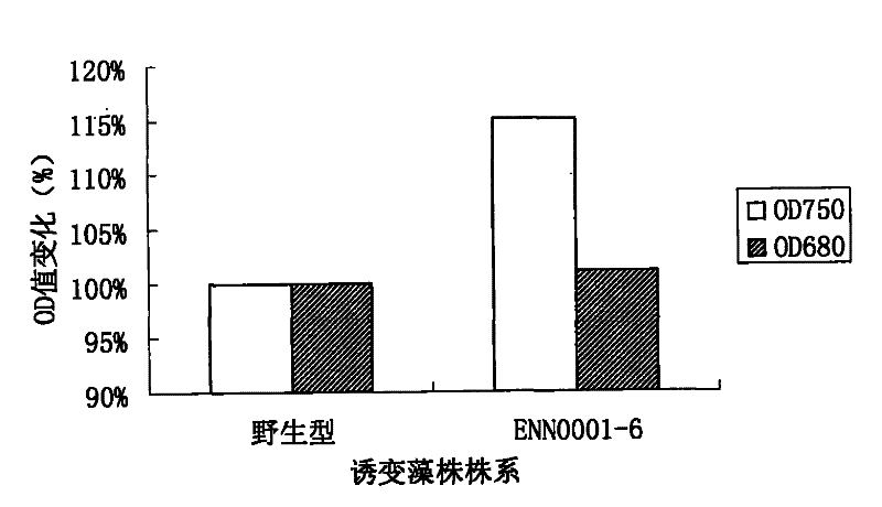 High-growth-rate Dunaliella tertiolecta obtained through ultraviolet mutation breeding